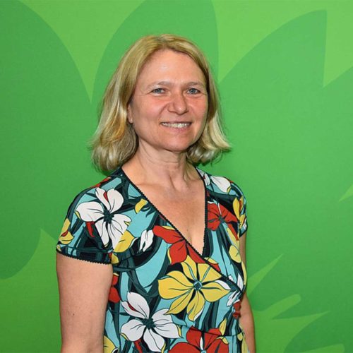 Profilbild Spitzenkandidatin Ursula Sowa vor grünem Hintergrund mit stilisierter Sonnenblume.