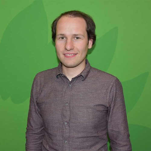 Profilbild Tim Pargent vor grünem Hintergrund mit stilisierter Sonnenblume.