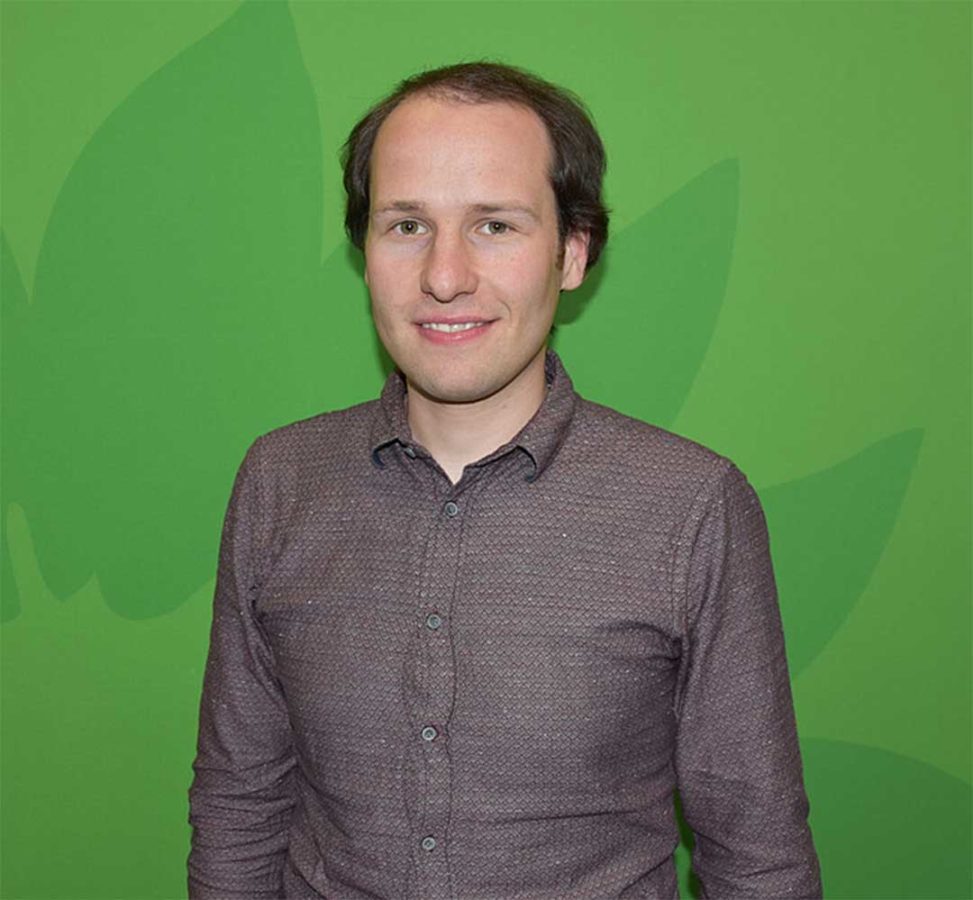 Profilbild Tim Pargent vor grünem Hintergrund mit stilisierter Sonnenblume.